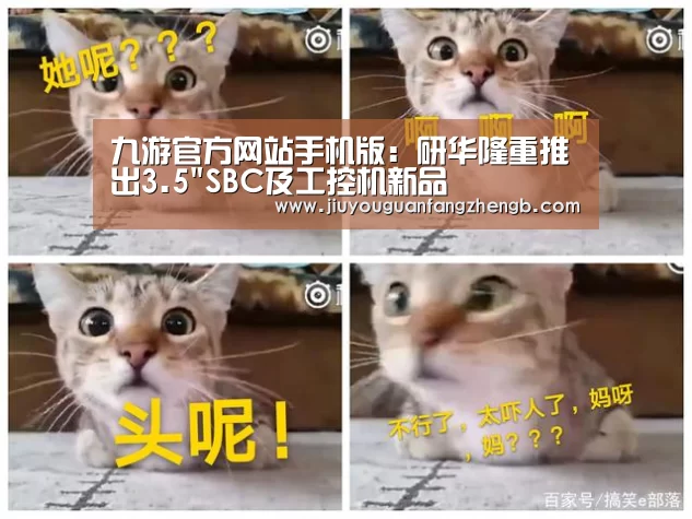 九游官方网站手机版